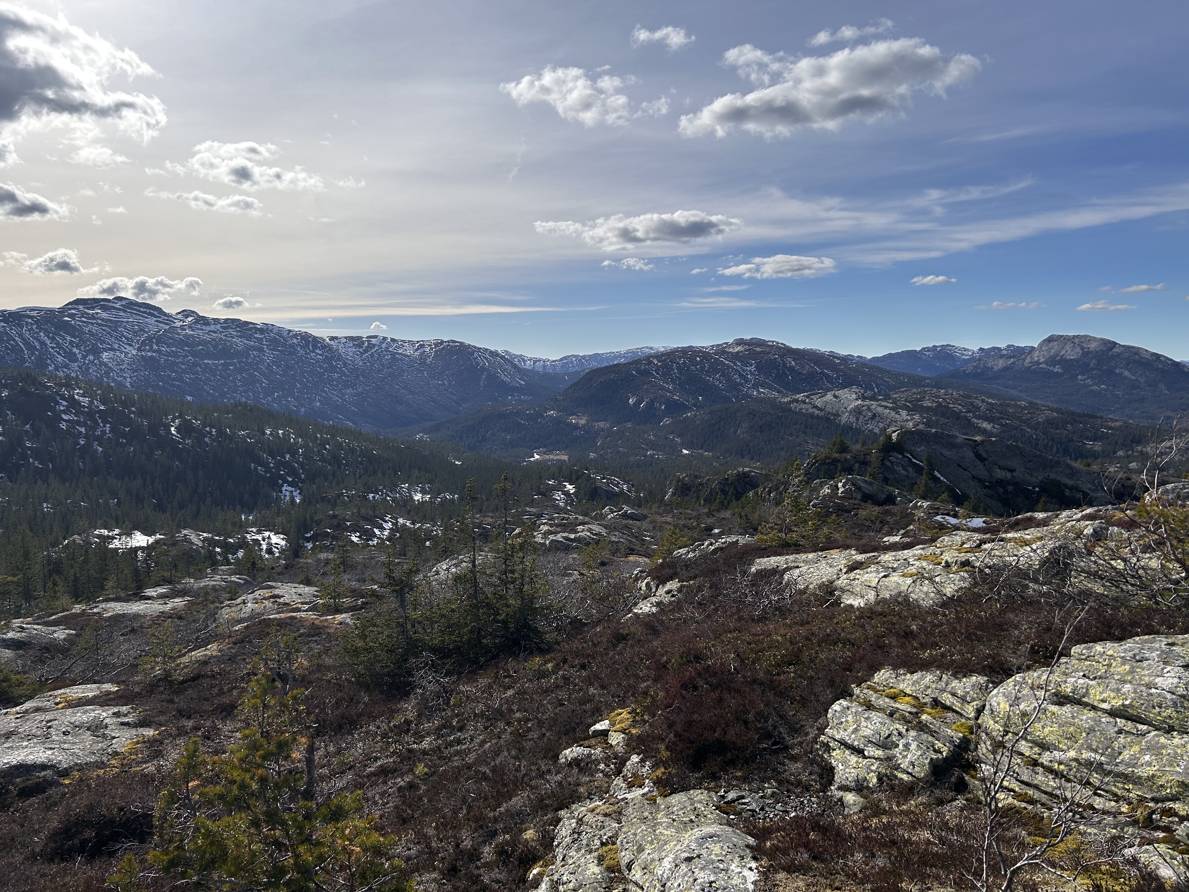 Utsikt mot Lifjell